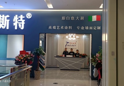 贵州盘州英尼斯特艺术漆加盟店